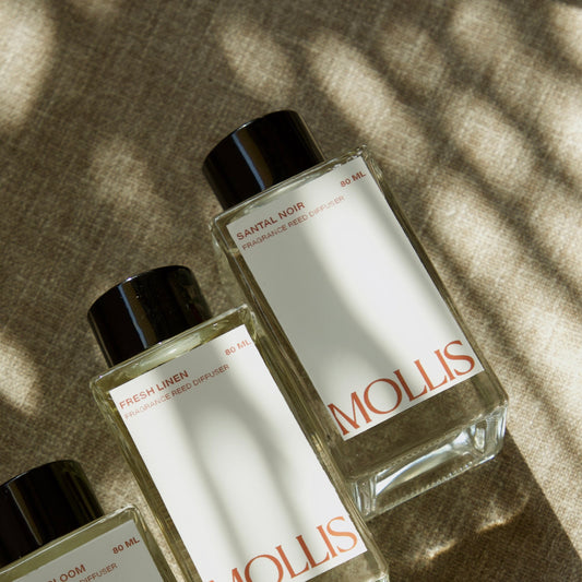Mollis Santal Noir reed diffuser India — rich sandalwood natural home fragrance
