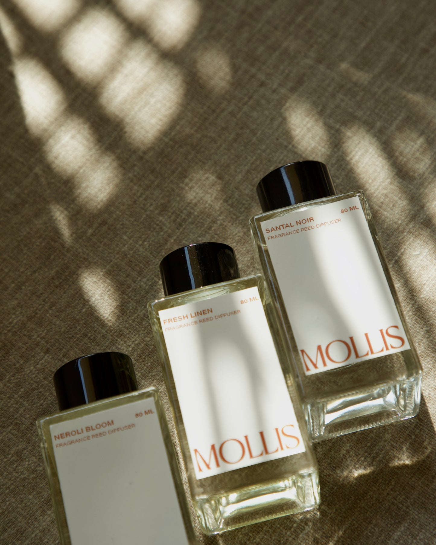 Mollis Amber Ash reed diffuser India — warm woody natural home fragrance handmade
