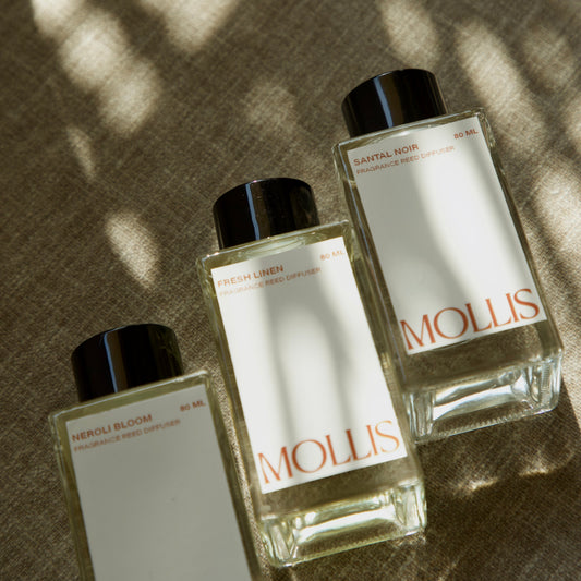 Mollis Amber Ash reed diffuser India — warm woody natural home fragrance handmade
